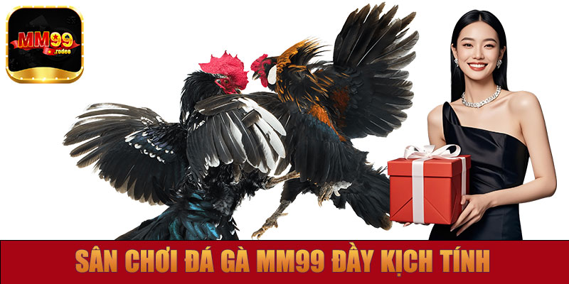 Sân chơi đá gà MM99 đầy kịch tính