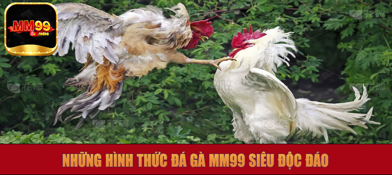 Những hình thức đá gà MM99 siêu độc đáo