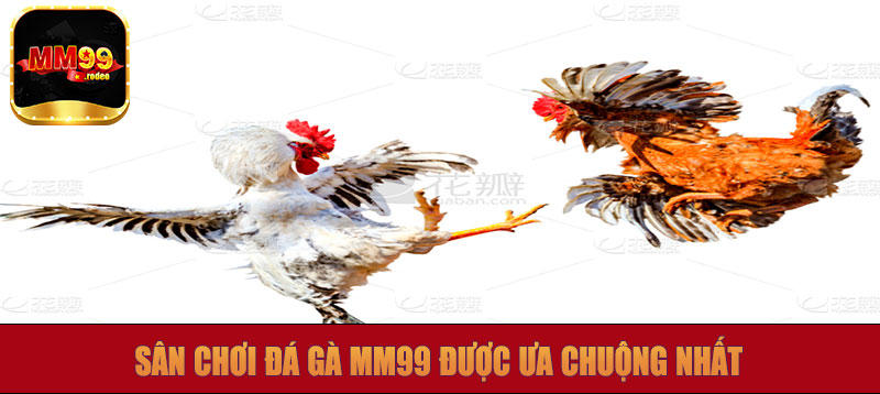 Sân chơi đá gà MM99 được ưa chuộng nhất